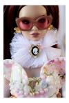 Designer Avenue Dior Collection Collar 