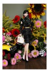 September Issue Collection Set No.03